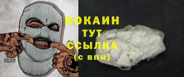 PSILOCYBIN Белокуриха