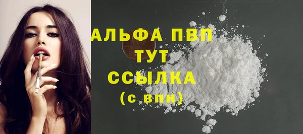 PSILOCYBIN Белокуриха