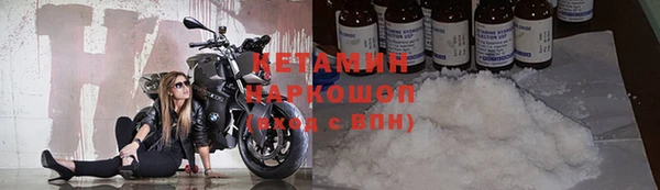 PSILOCYBIN Белокуриха