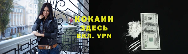 PSILOCYBIN Белокуриха