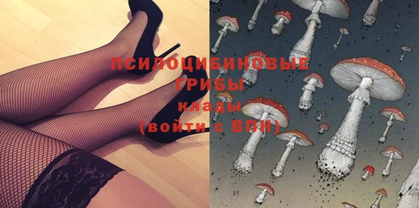 PSILOCYBIN Белокуриха