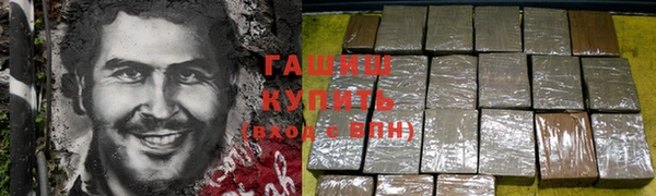 PSILOCYBIN Белокуриха