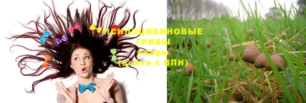 PSILOCYBIN Белокуриха