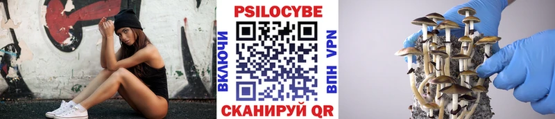 Псилоцибиновые грибы Psilocybe Велиж